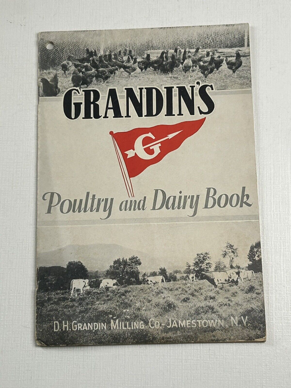 Grandin’s Poultry And Dairy Book 1929 Jamestown NY