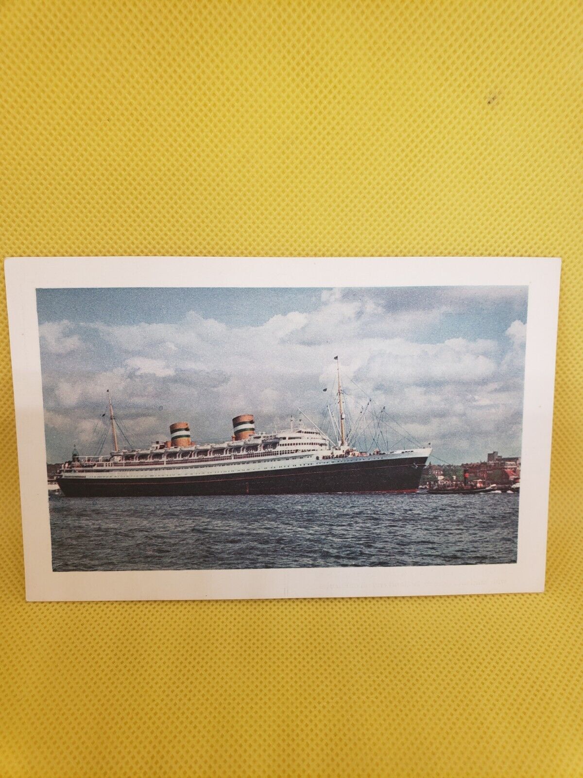 Nieuw Amsterdam Flqgship Holland-america Line Postcard #170