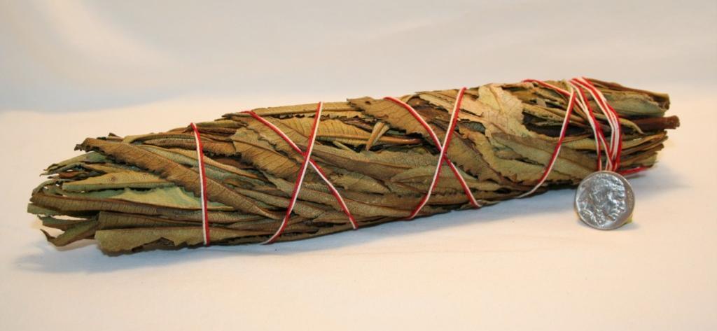 YERBA SANTA Native Sage Herb Smudging Stick 8 - 9\