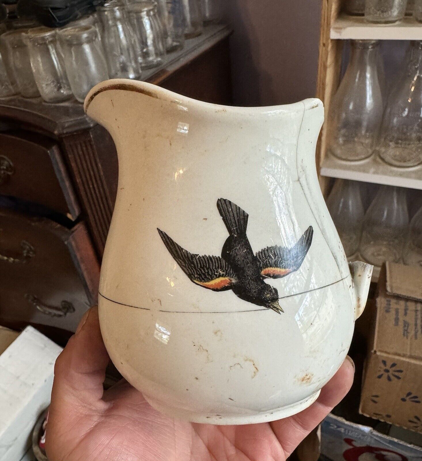 Vintage 1940s Era Dump Dug Ceramic Porcelain Pitcher Pictorial Bird Display Only