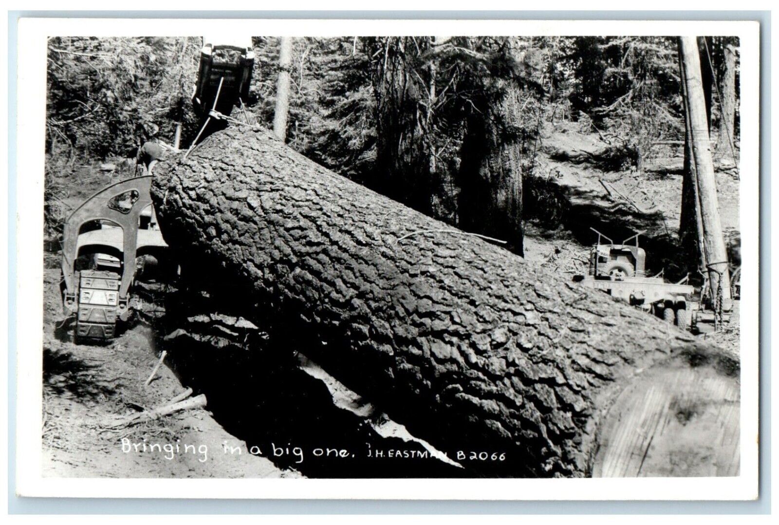 c1940's Bringing In A Big One Logging Truck Eastman's RPPC Photo Postcard