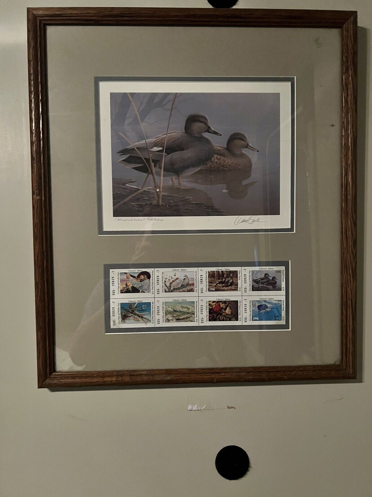 Rare Ducks Unlimited Picture 