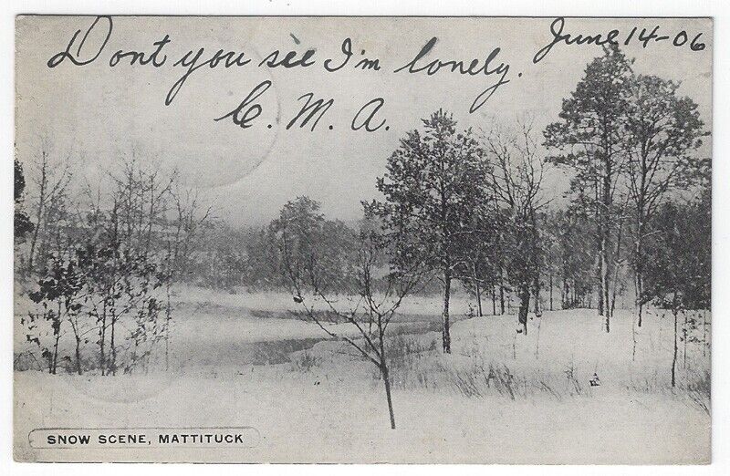 Vintage Postcard Snow Scene at Mattituck, New York, 1906
