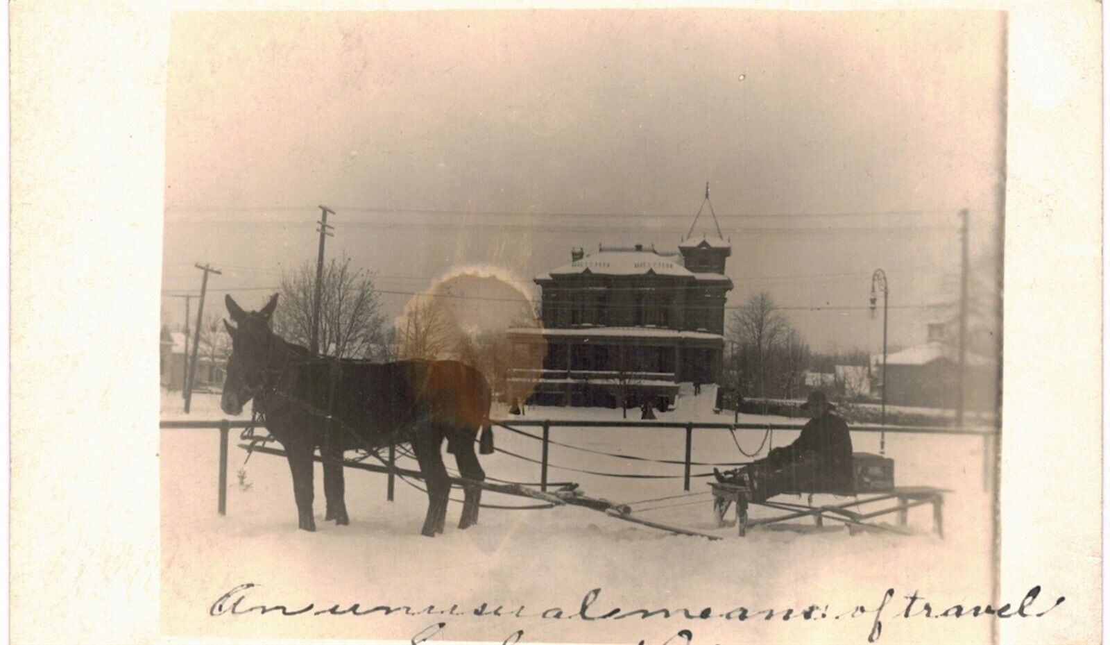 Salem RPPC An Unusual Means Of Travel Donkey Pulled Sled 1910 OR 