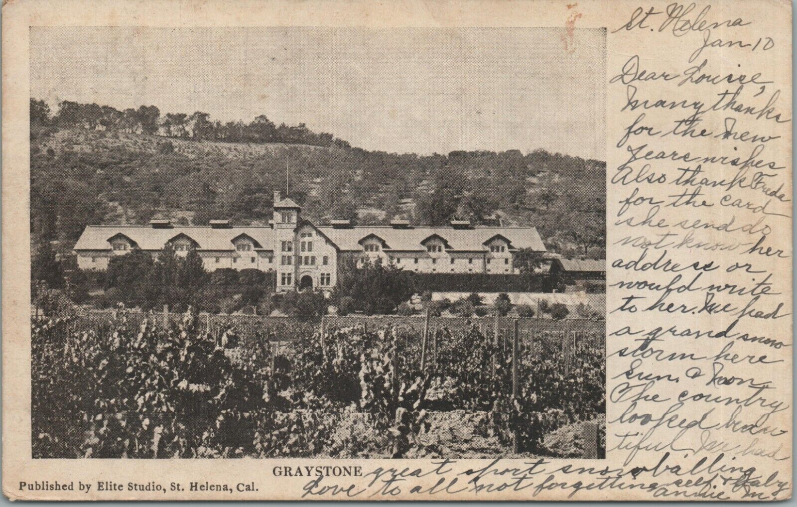 California Napa St. Helena Greystone Winery Largest CA 1907 Vintage Postcard