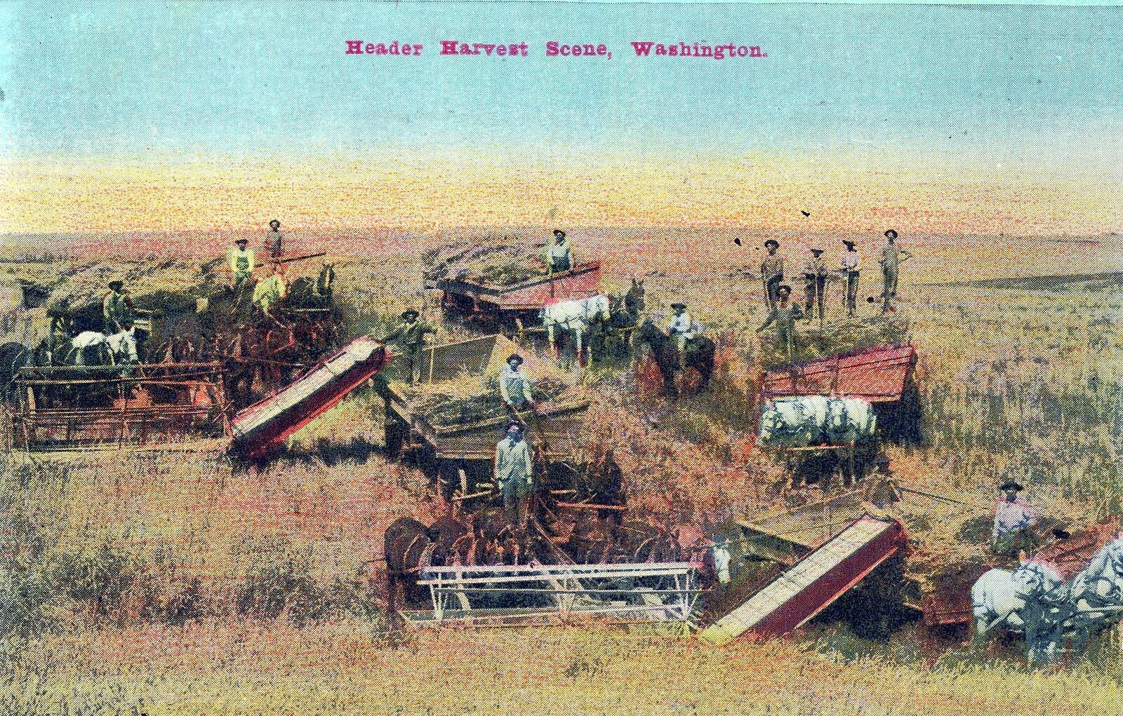 WASHINGTON WA - Header Harvest Scene Postcard
