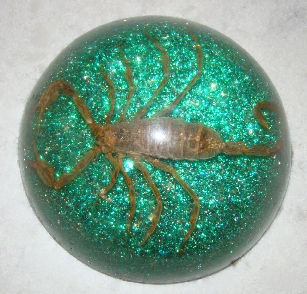Vintage Large Scorpion in Green Glitter Lucite Dome Paperweight 3.5”
