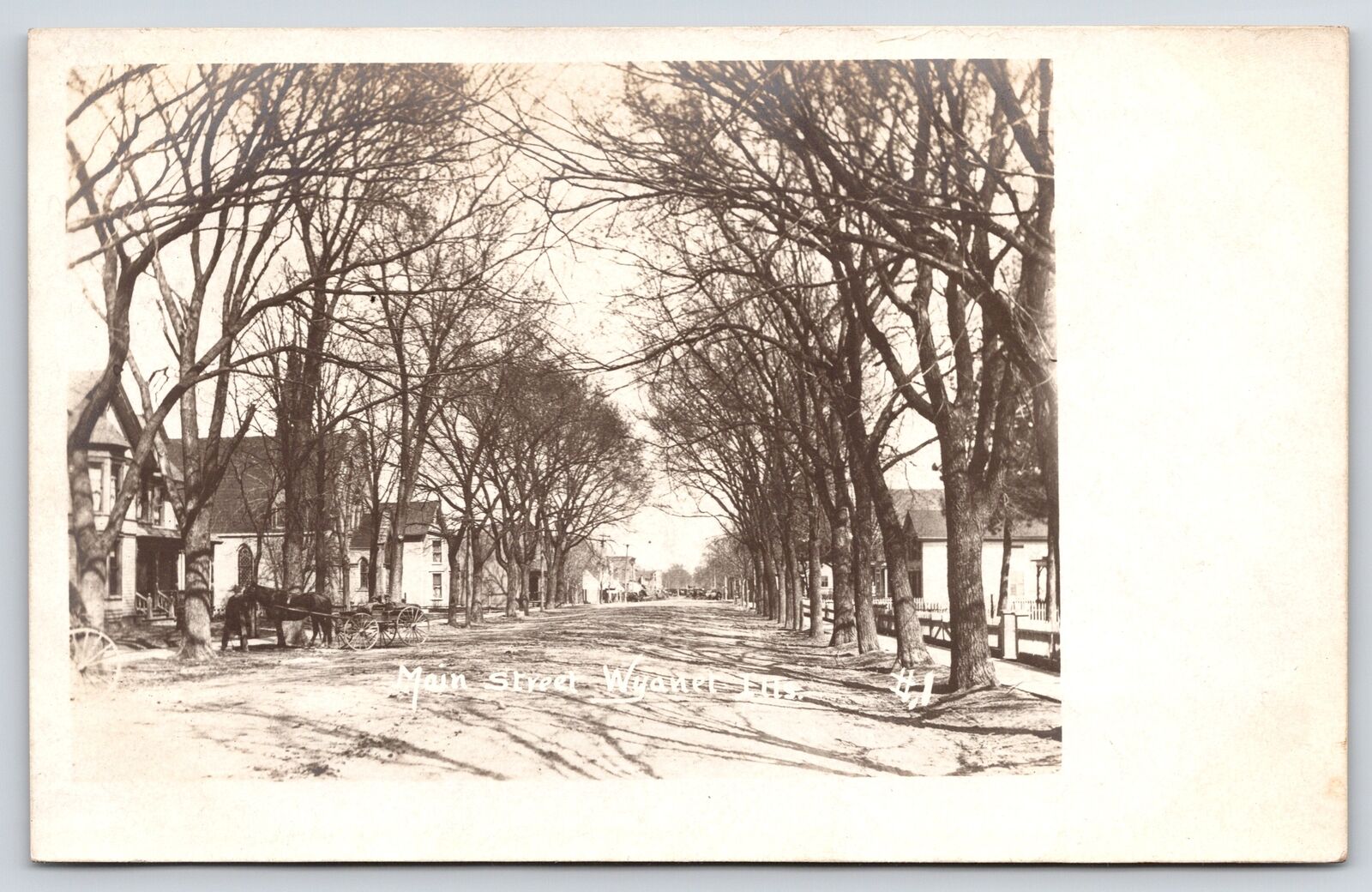 Wyanet Illinois~Main Street Homes~Horse Buggy~Went to Peach Orchard~1908 RPPC