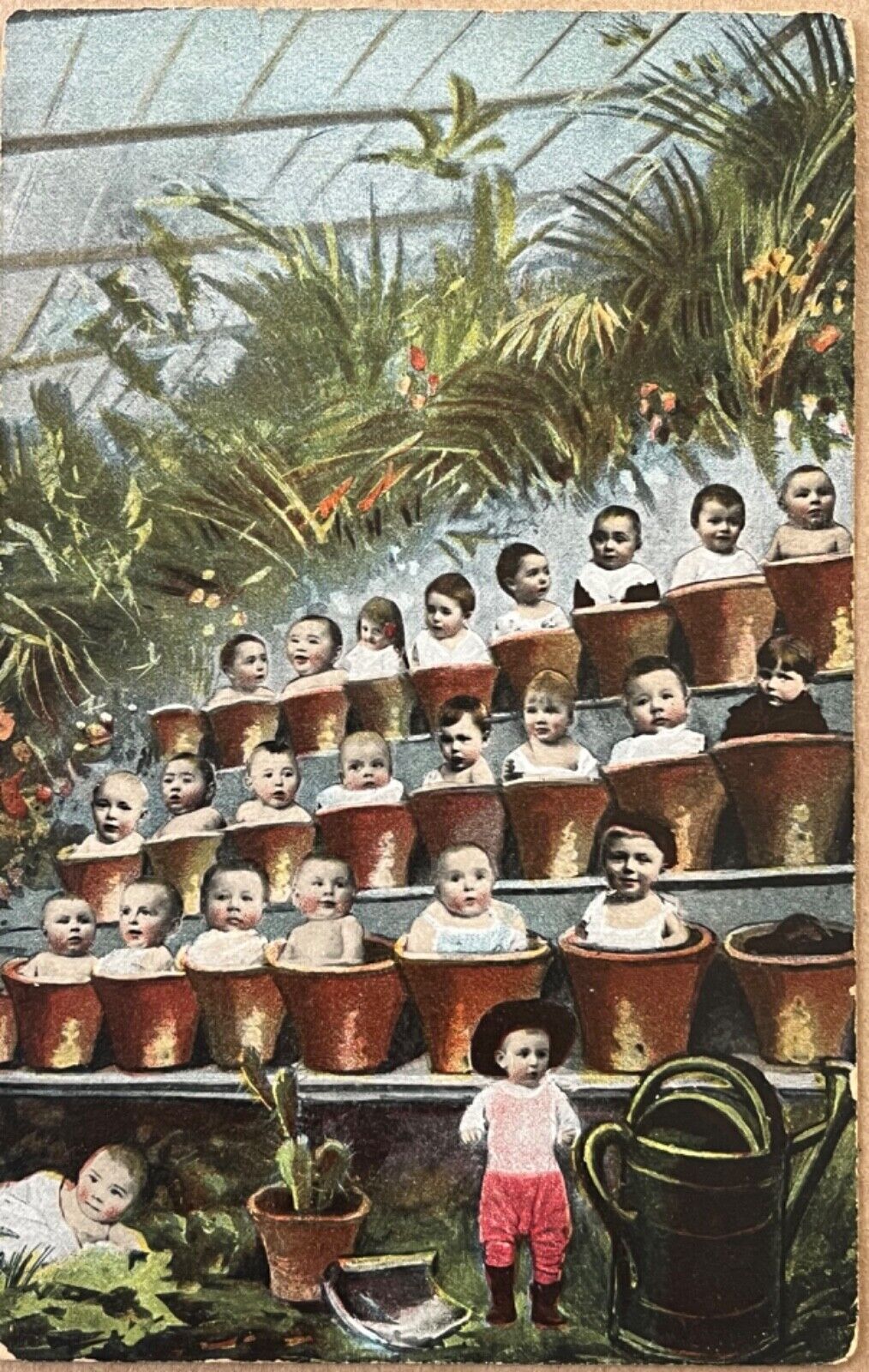 Fantasy Babies Growing as Potted Plants Creepy Antique Postcard c1910