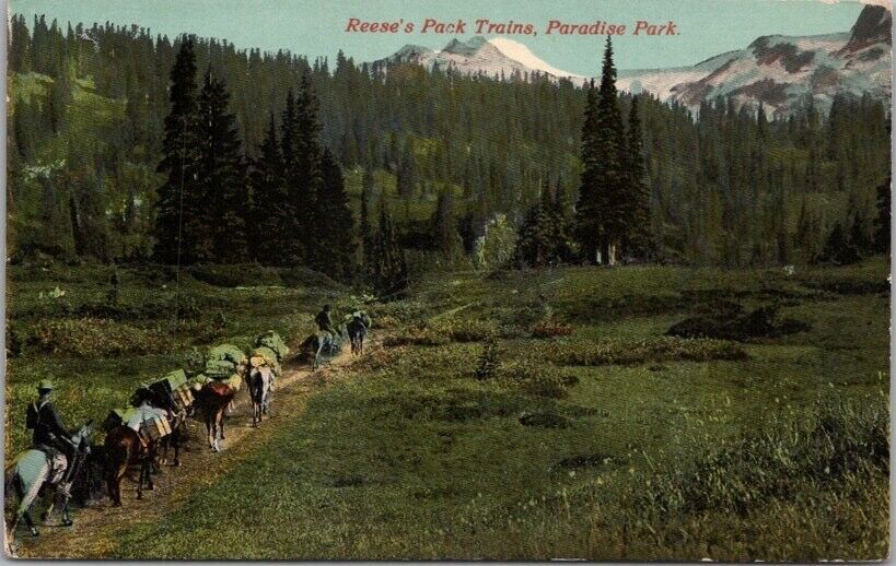 c1910s Mount Rainier, Washington Postcard 