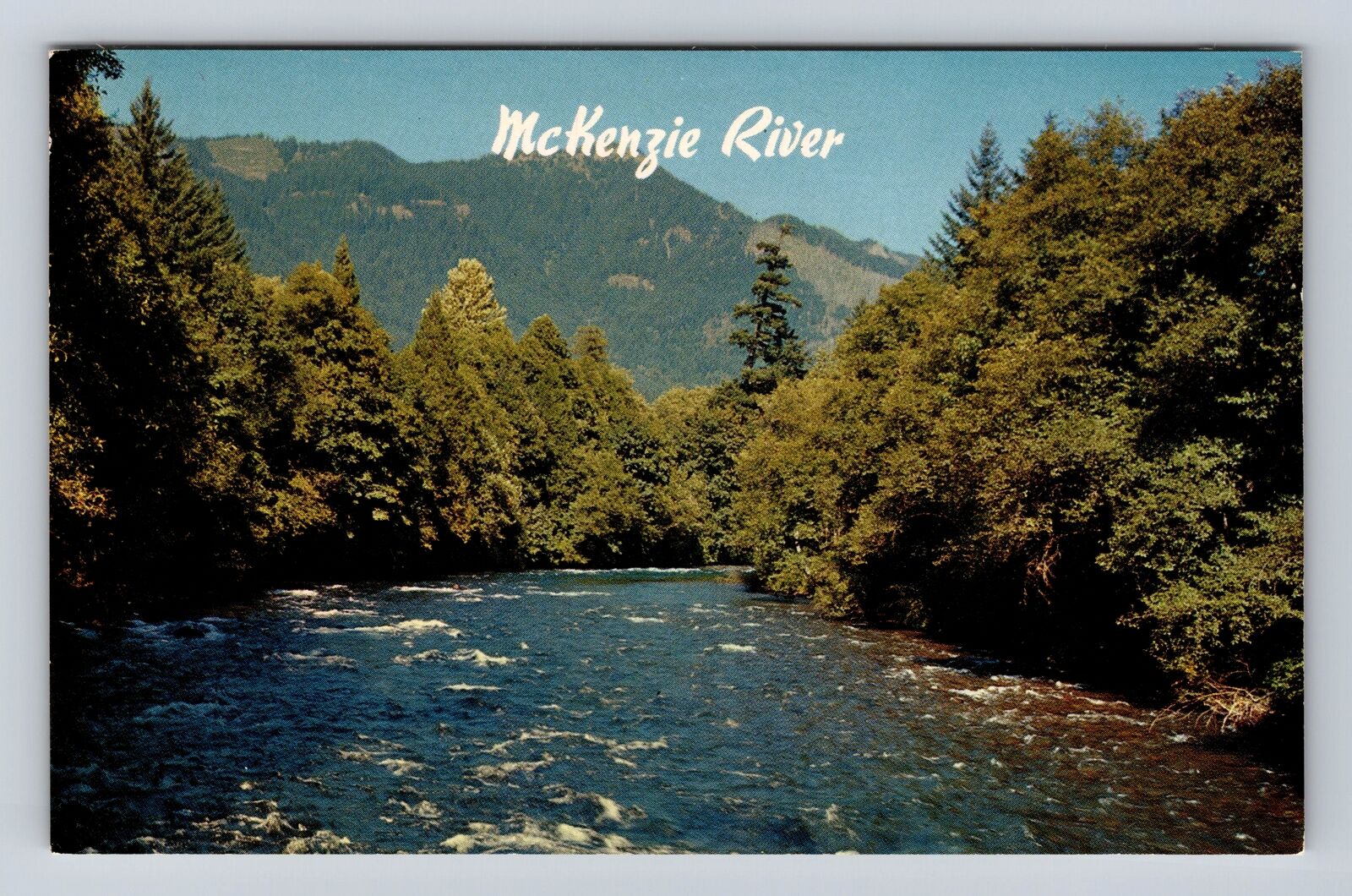 McKenzie River OR-Oregon, Scenic Views River and Mountains, Vintage Postcard