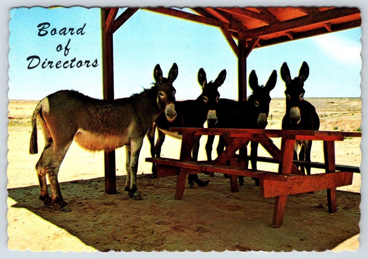 Postcard Board of Directors Donkeys Around Picnic Table Comic Humor
