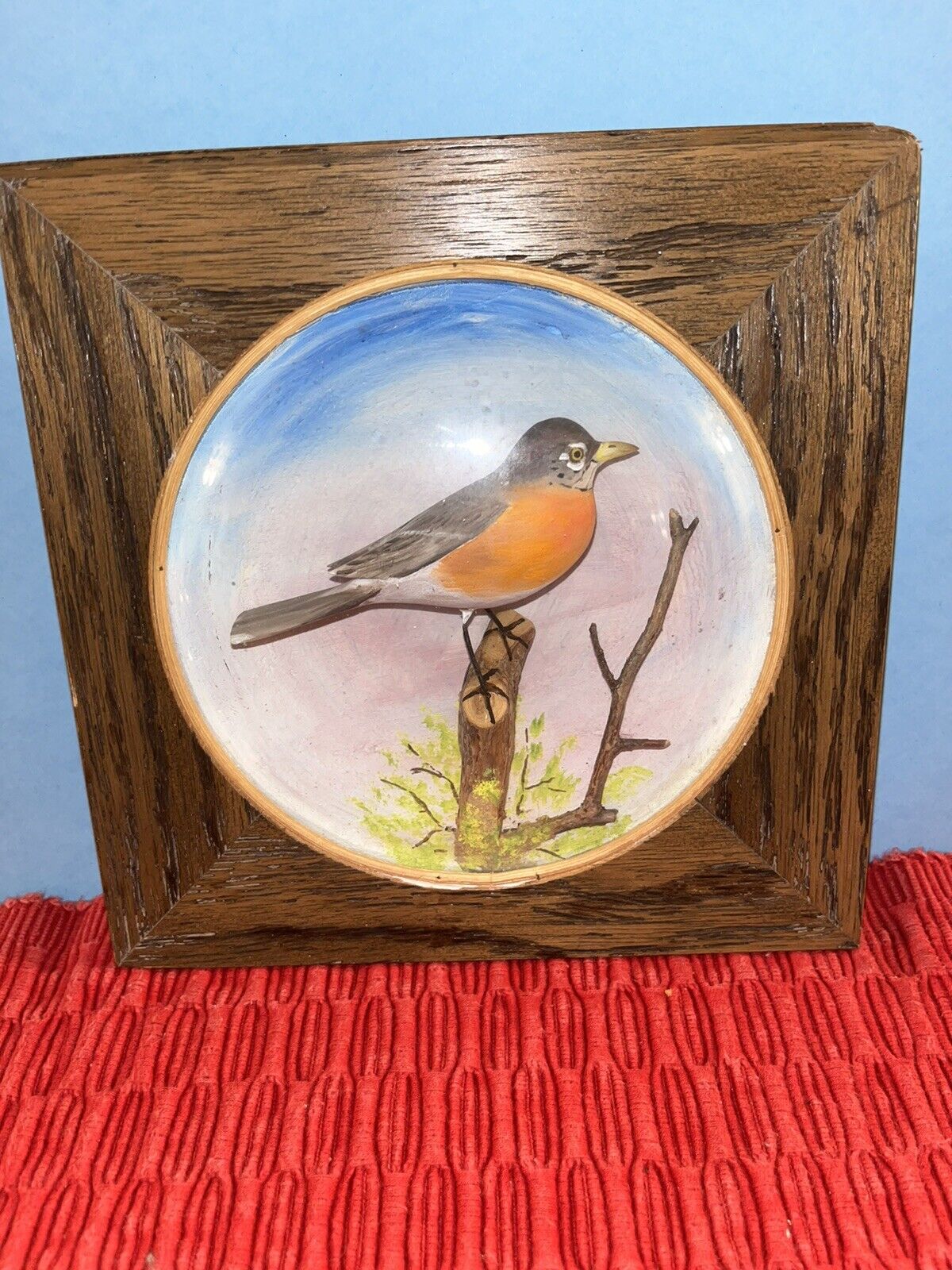 Vintage Original Hand Carved Wooden Robin Bird Framed Convex Glass Diorama