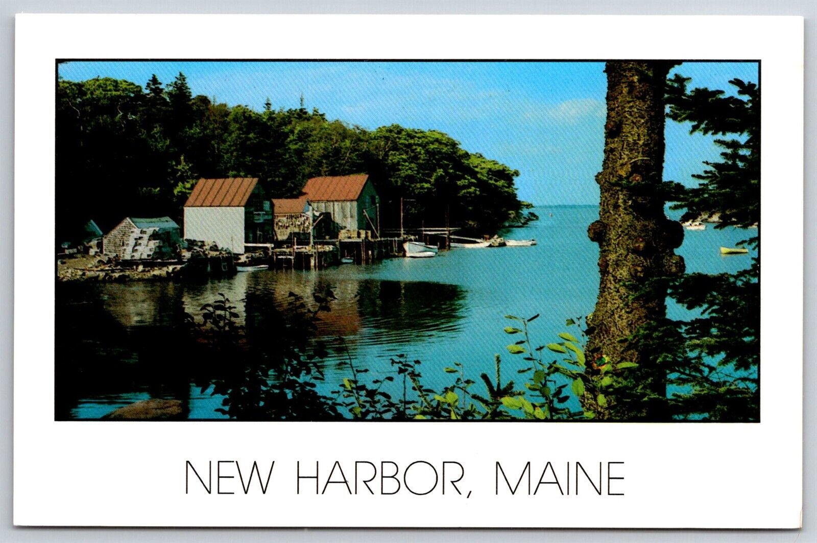New Harbor Fish Houses Back Cove Scene Main VTG Unposted Chrome Postcard