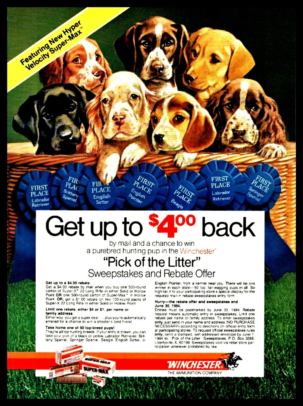1984 WINCHESTER Ammunition Puppies AD Beagle Brittany Labrador Retriever Pointer