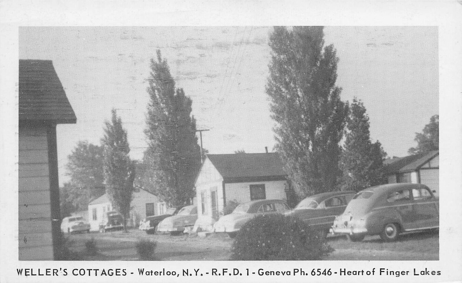 1950\'s NY Postcard Automobiles at Weller\'s Cottages, Waterloo UNPOSTED NY  NY557