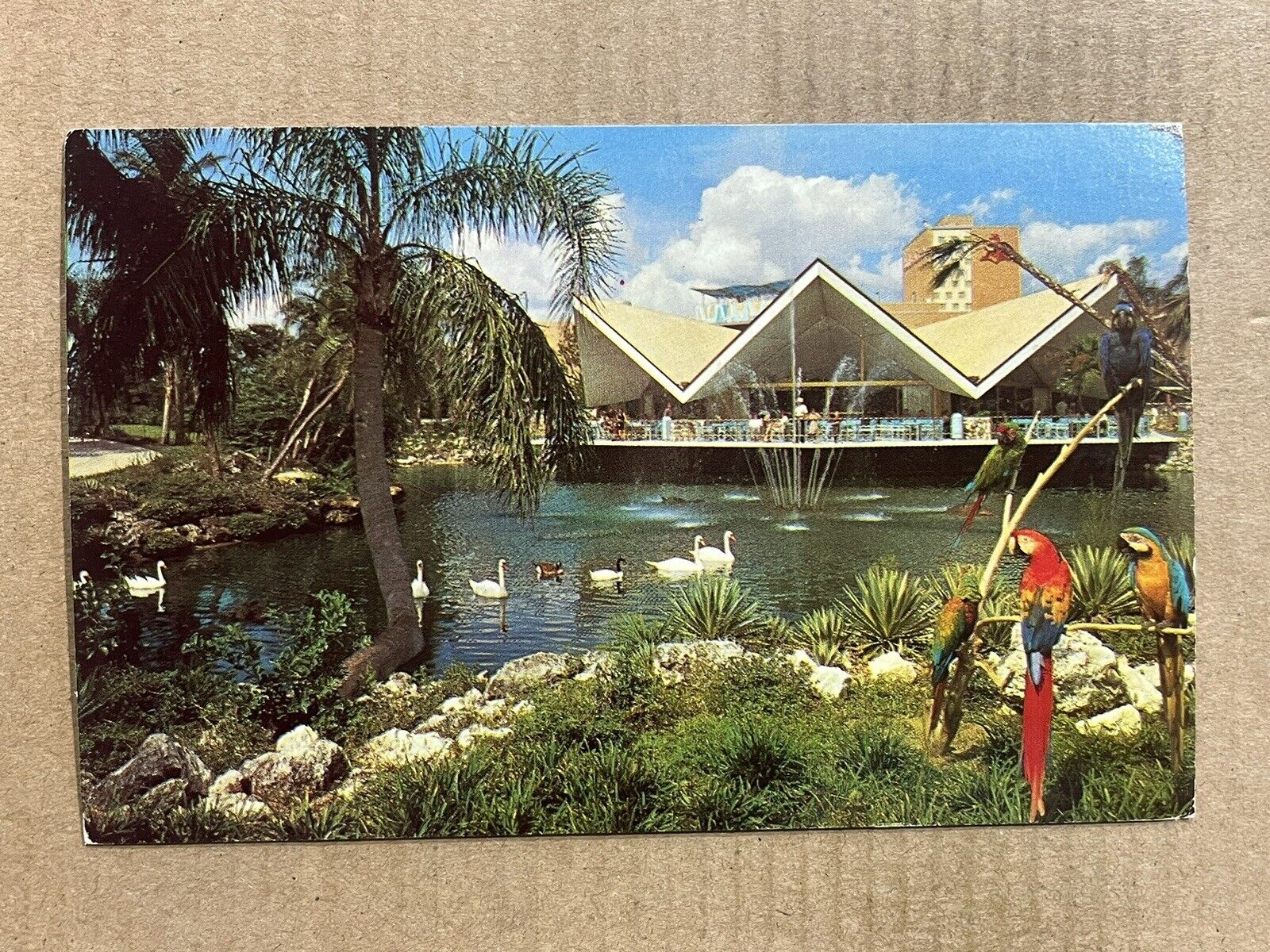 Postcard Florida FL Tampa Busch Gardens Lagoon Hospitality House Birds Vintage