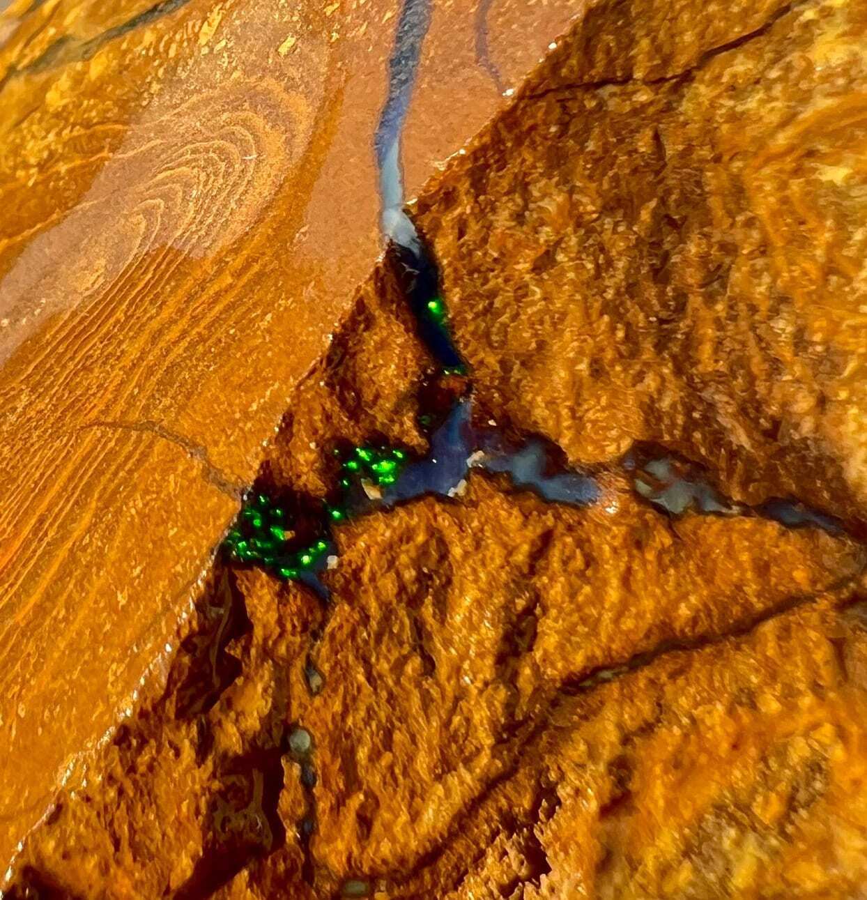 Green Flash Queensland Australian Boulder Opal Cut Nugget