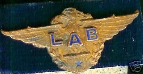AVIATION pin pinback mini cap badge Flight Engineer 1st Officer WINGS Airlines