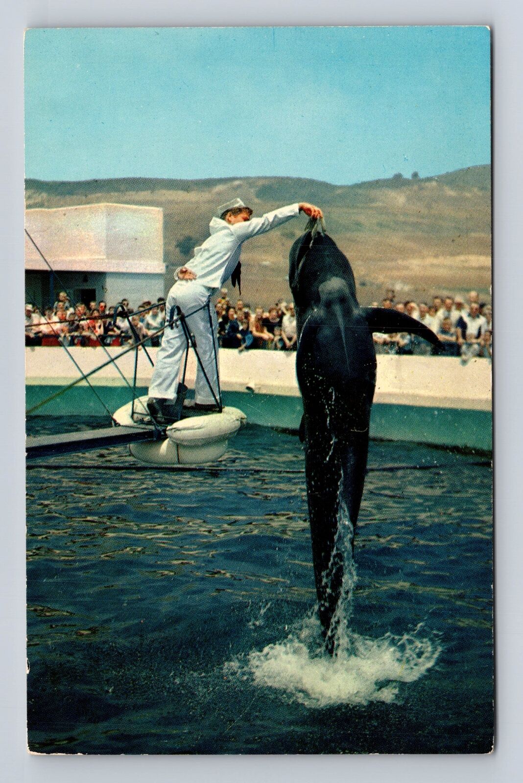 Palos Verdes CA-California, Marineland Of The Pacific, Antique Vintage Postcard