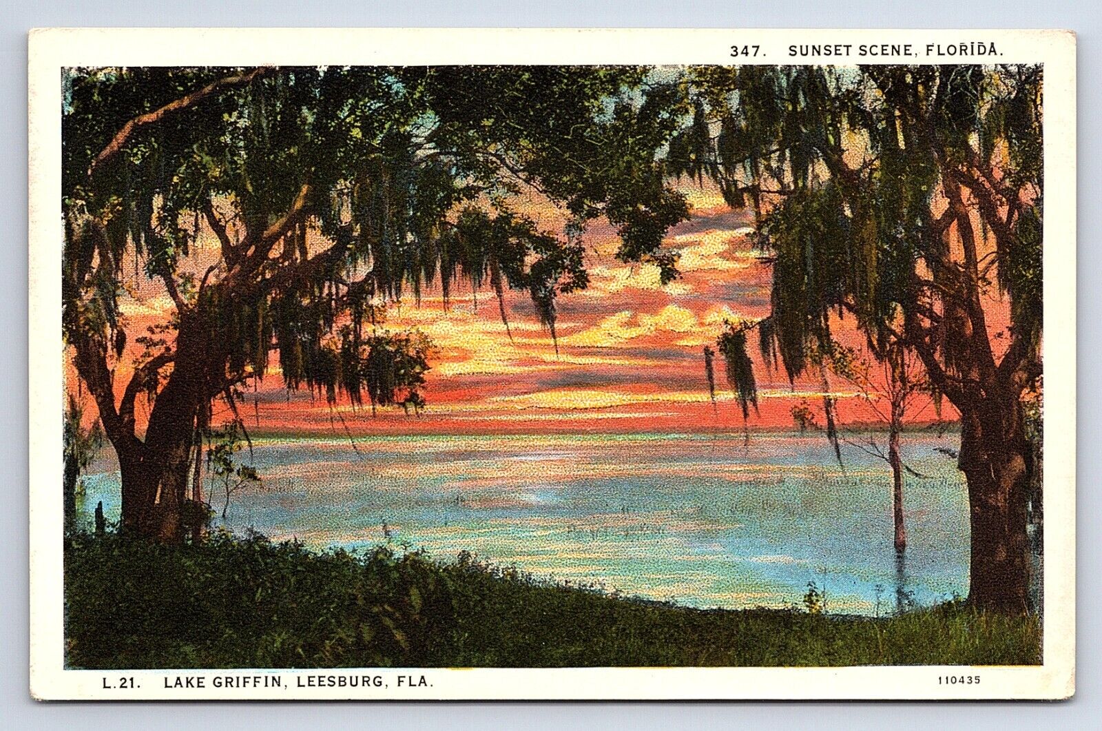 Postcard Sunset Scene on Lake Griffin, Leesburg Florida FL