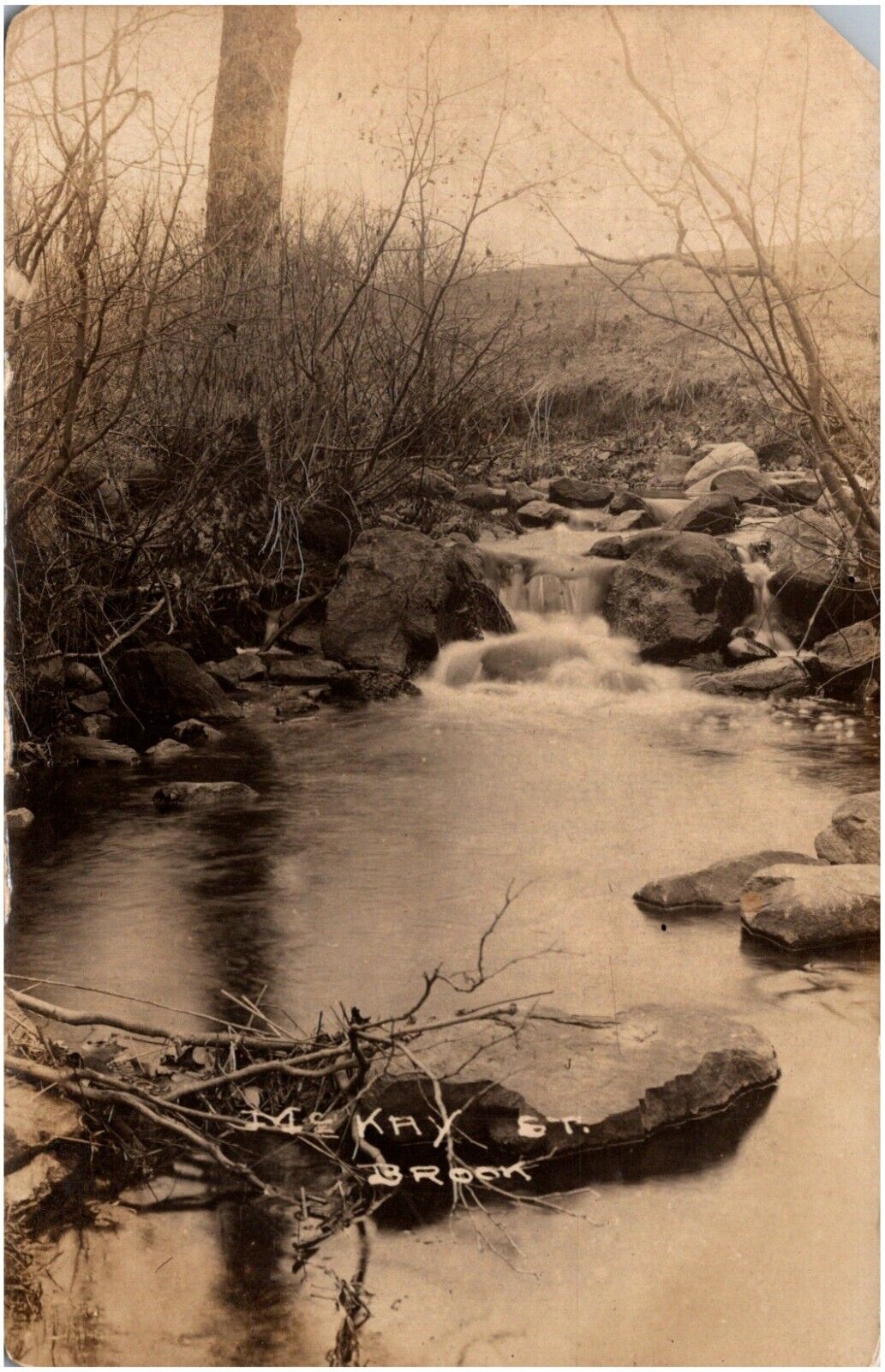 McKay Street Brook, Possibly in Saline, Michigan 1900s RPPC Postcard Photo