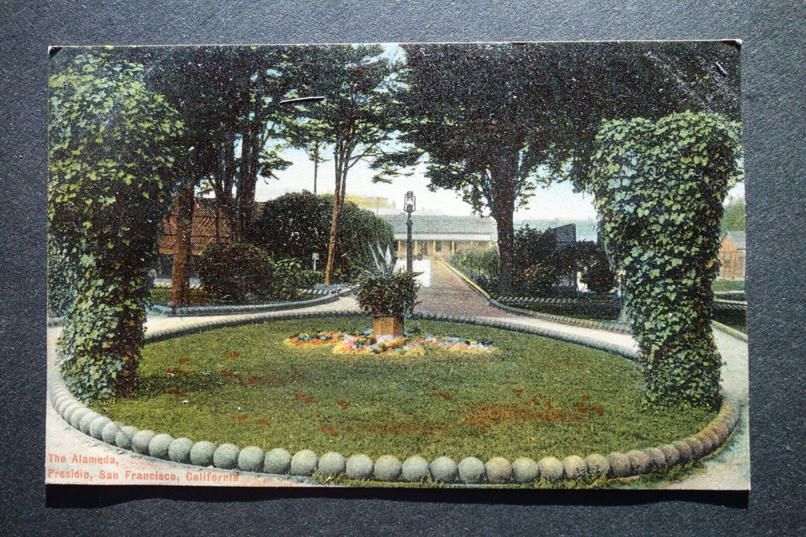 The Alameda, Presidio, San Francisco CA postcard