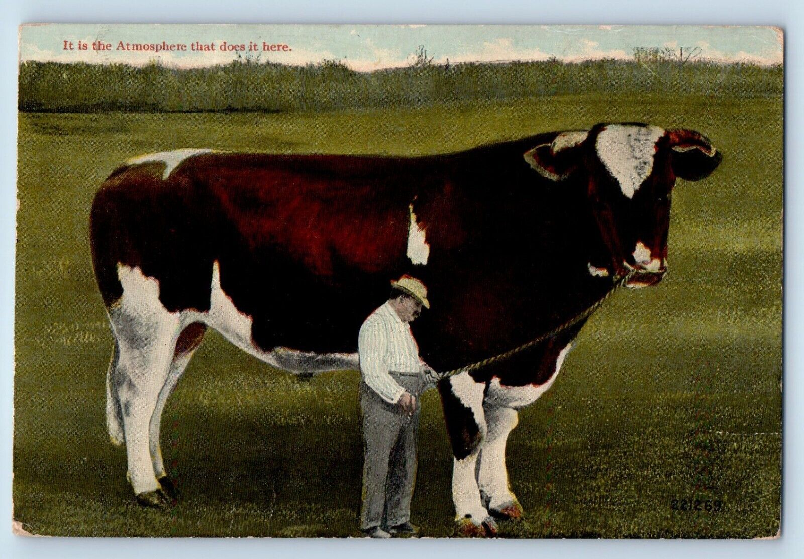 Exaggerated Cow Postcard It Is Atmosphere That Does It Here c190\'s Antique