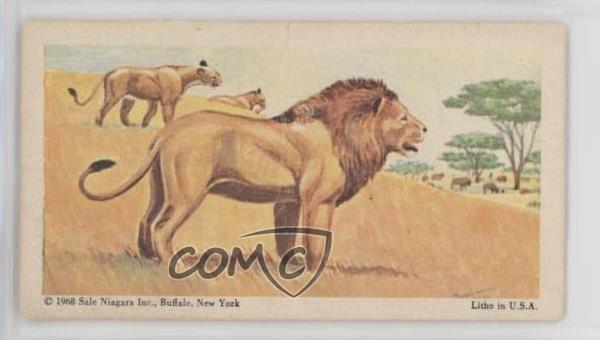 1968 Federal Sweets Wild Animals Lion African #20 1t3