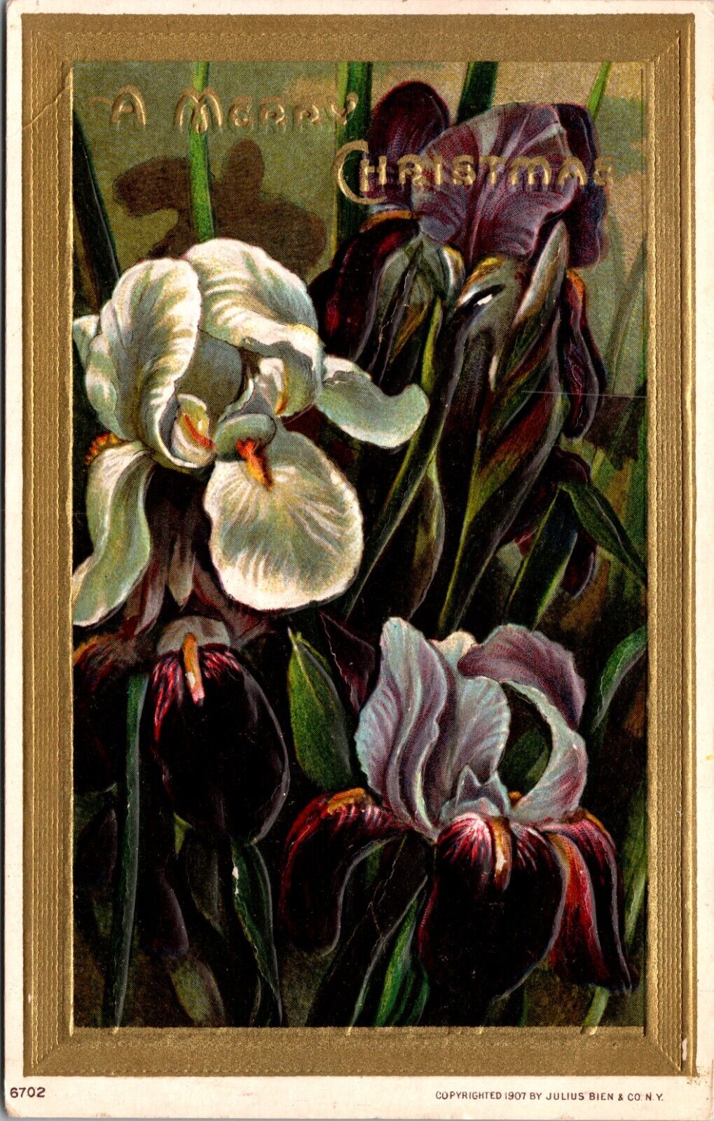 1907 A Merry Christmas Irises Embossed Vintage Postcard