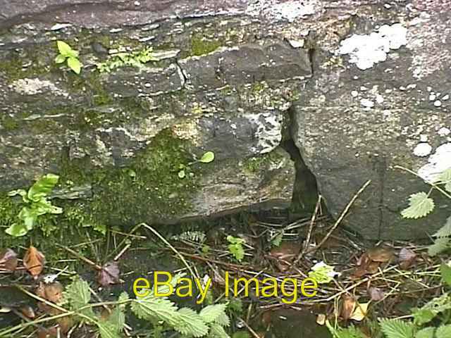 Photo 6x4 Ancient Stoup in wall of Llanllawer Church Llanychaer  c2007