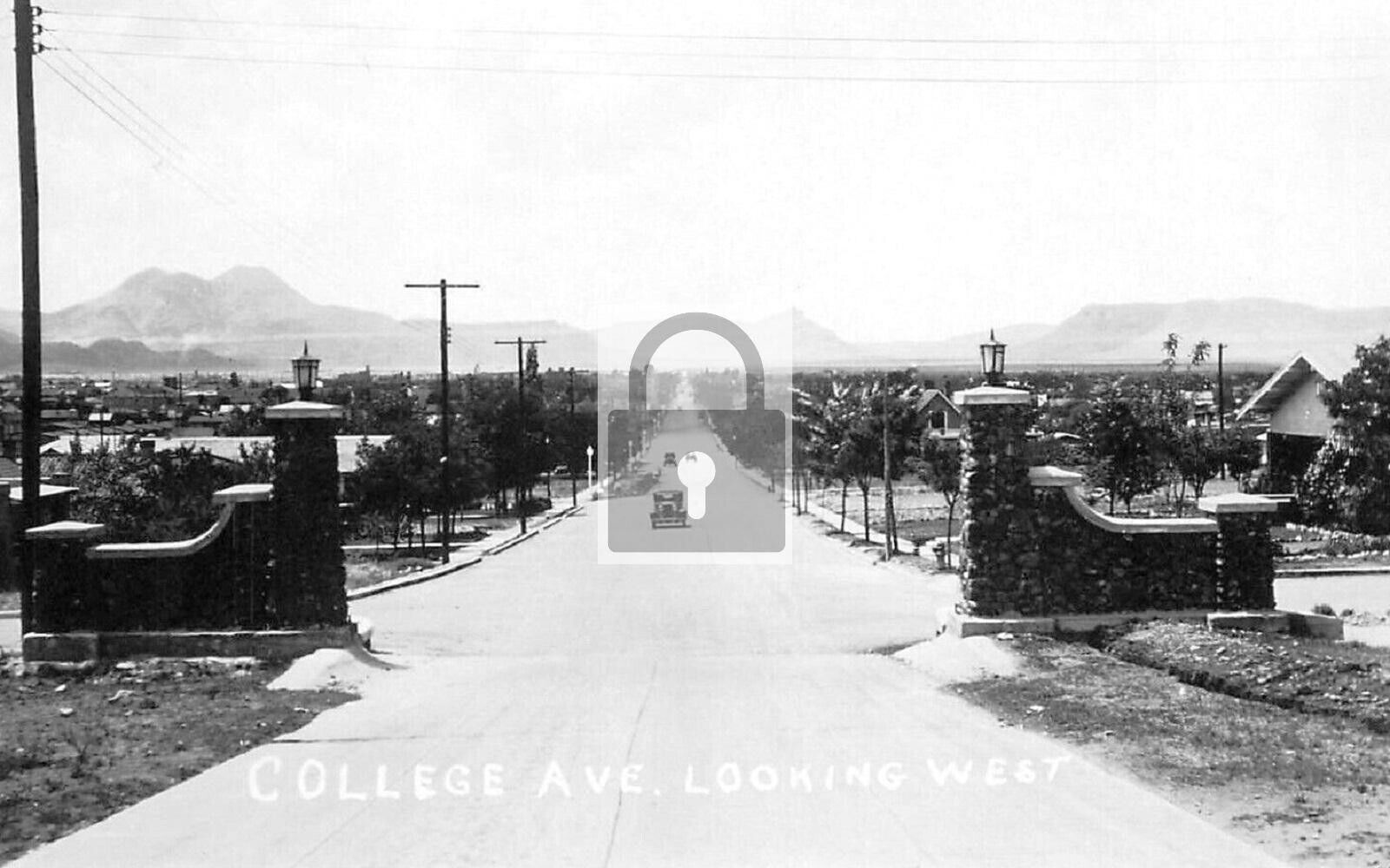 Street View College Ave Alpine Texas TX Reprint Postcard