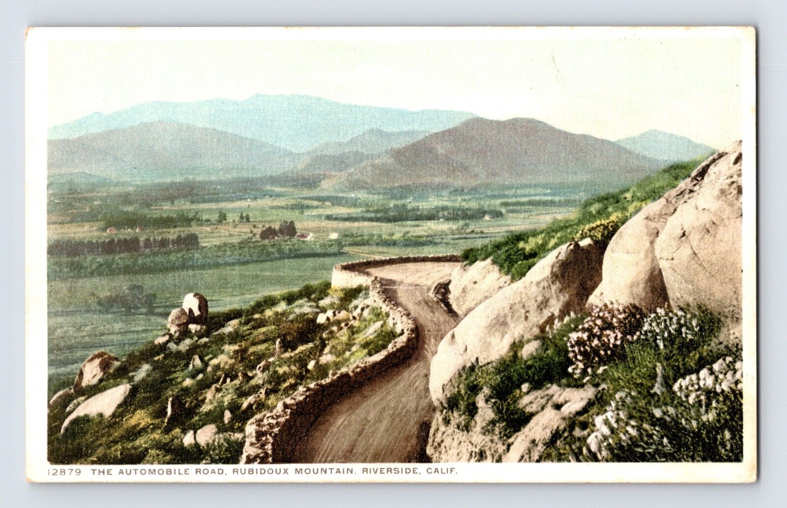 Postcard California Riverside CA Rubidoux Mountain Road 1910s Unposted Divided