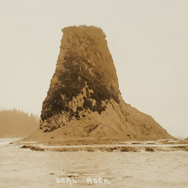 Olympia Peninsula Seal Rock RPPC Postcard 1930s Washington Real Photo Art B1071