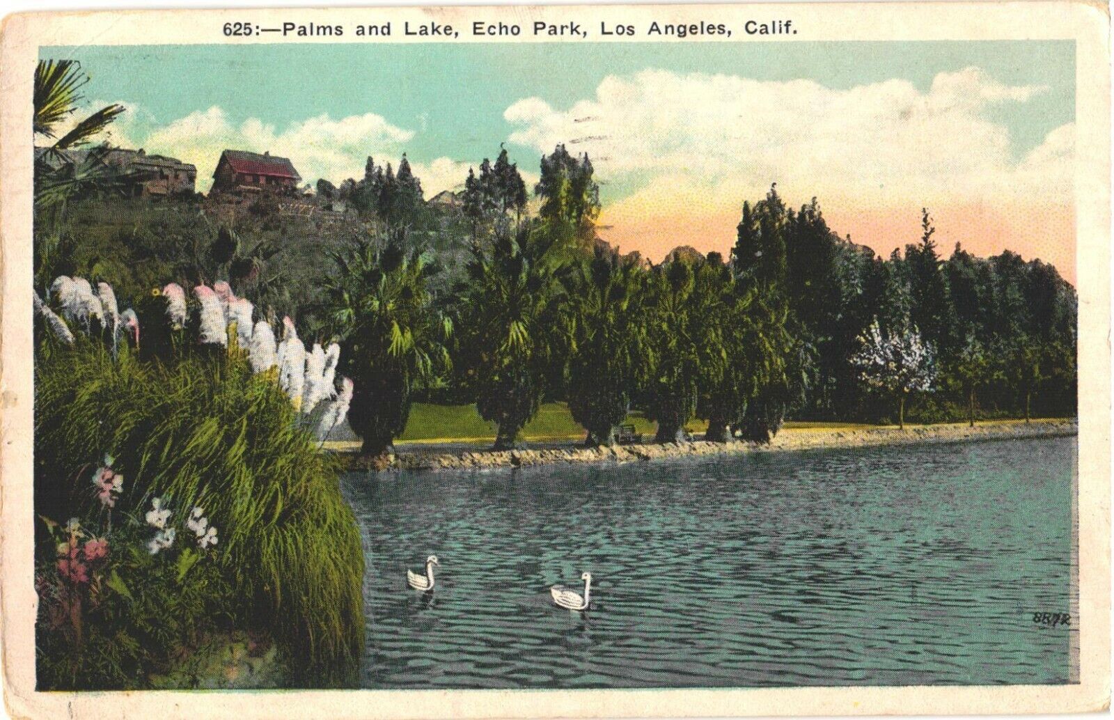 Scenic View of Palms And Lake, Echo Park, Los Angeles, California Postcard