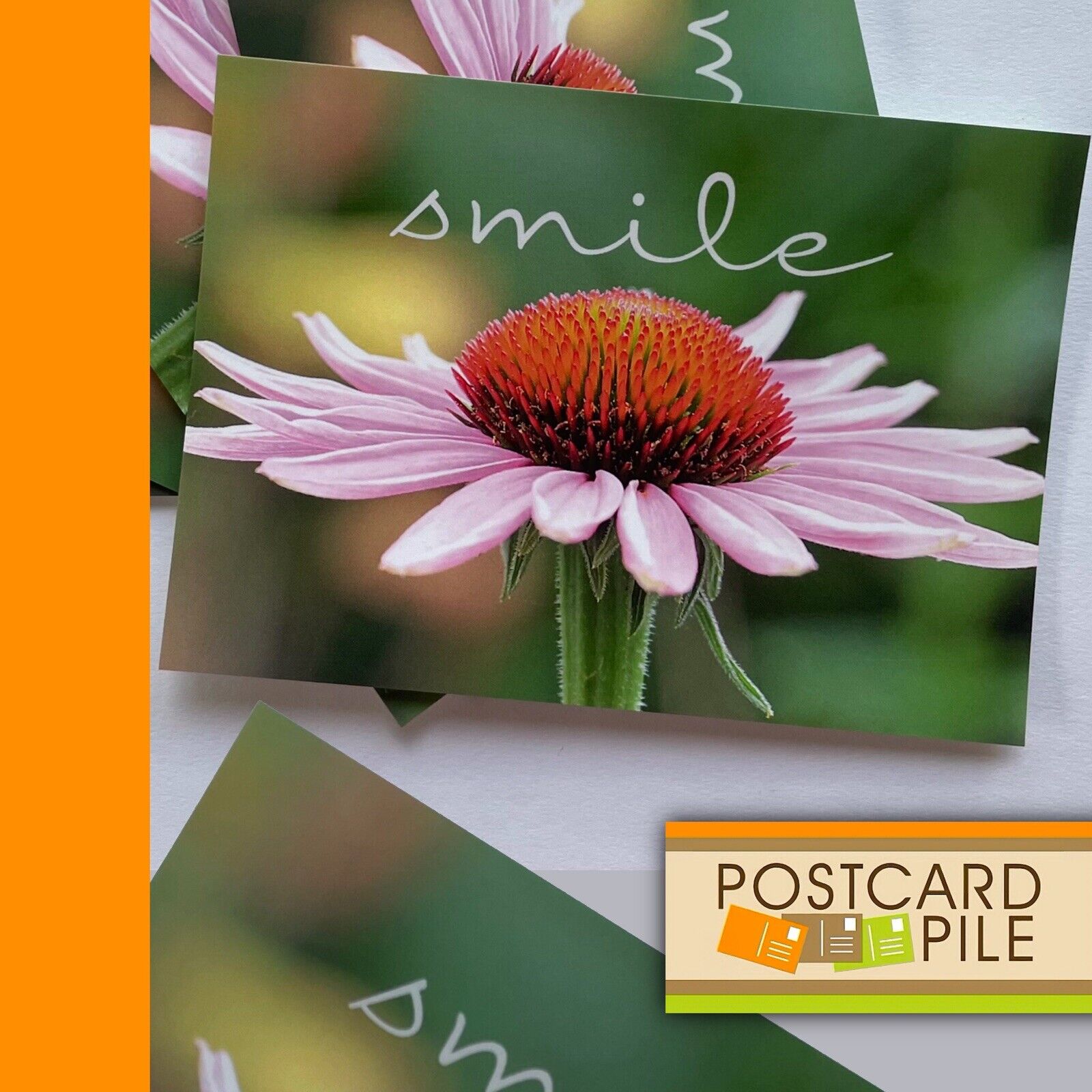 Unused Postcards, Set Of 5, Smile Flower Greeting Postcard Lot Pink Summer