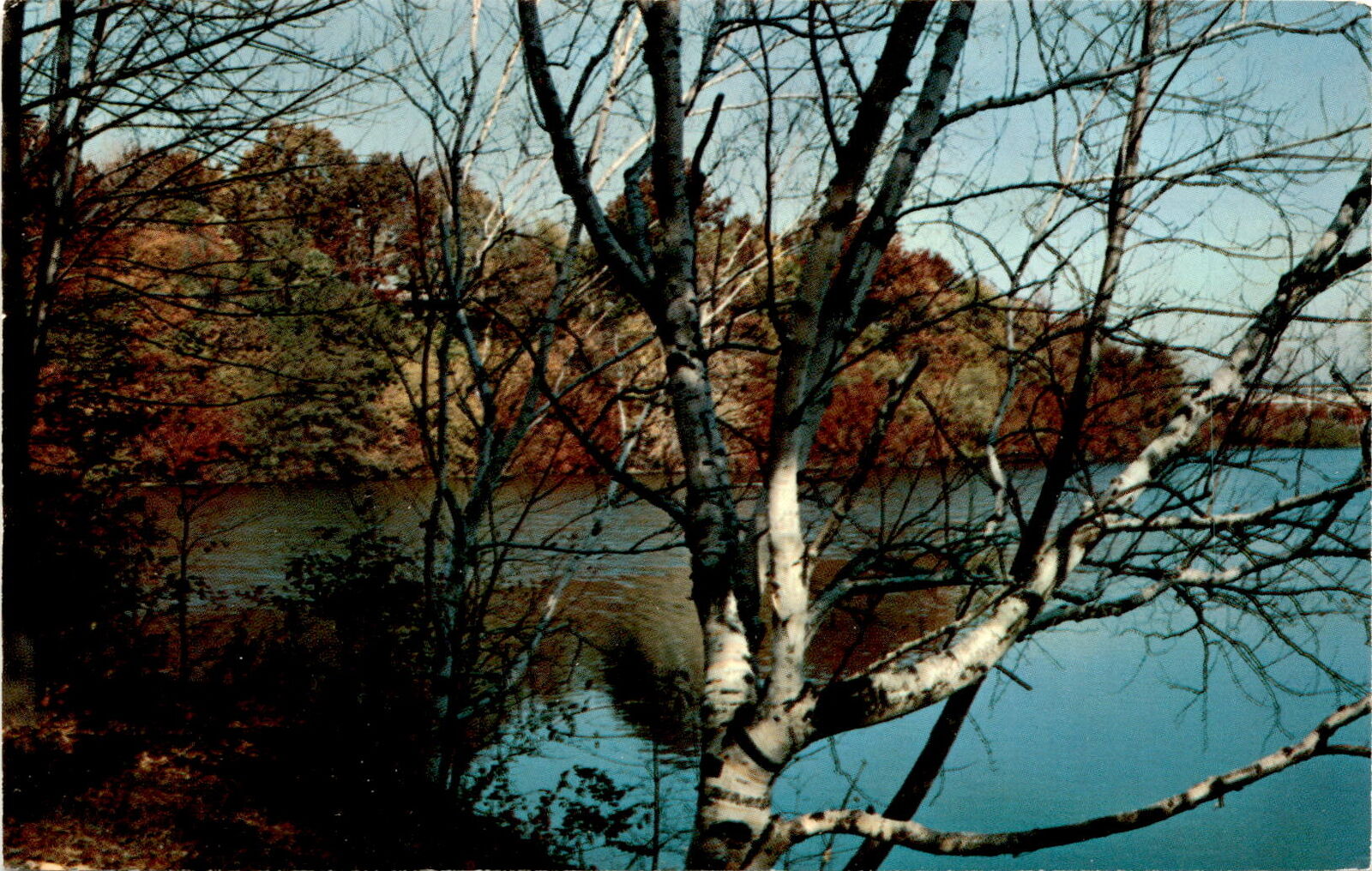Rochester, New York, Durand-Eastman Park, Autumn, Manson News Postcard