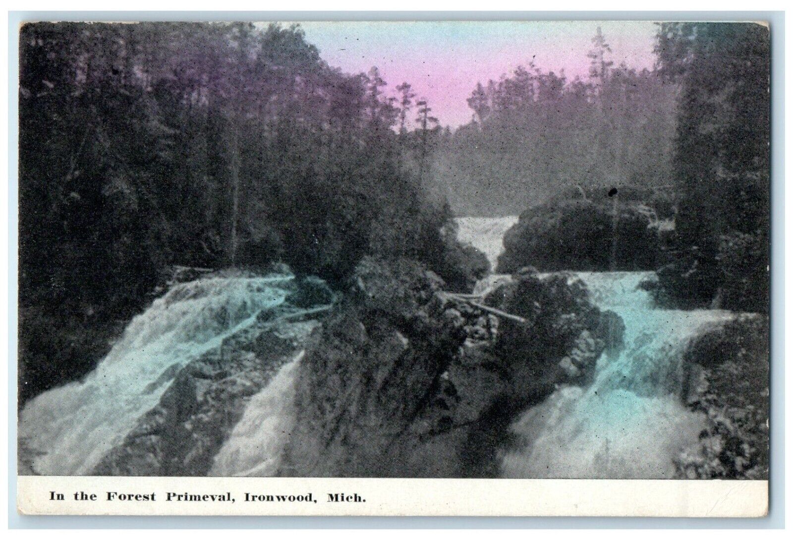 c1910\'s View In The Forest Primeval Waterfall Ironwood Michigan MI Postcard