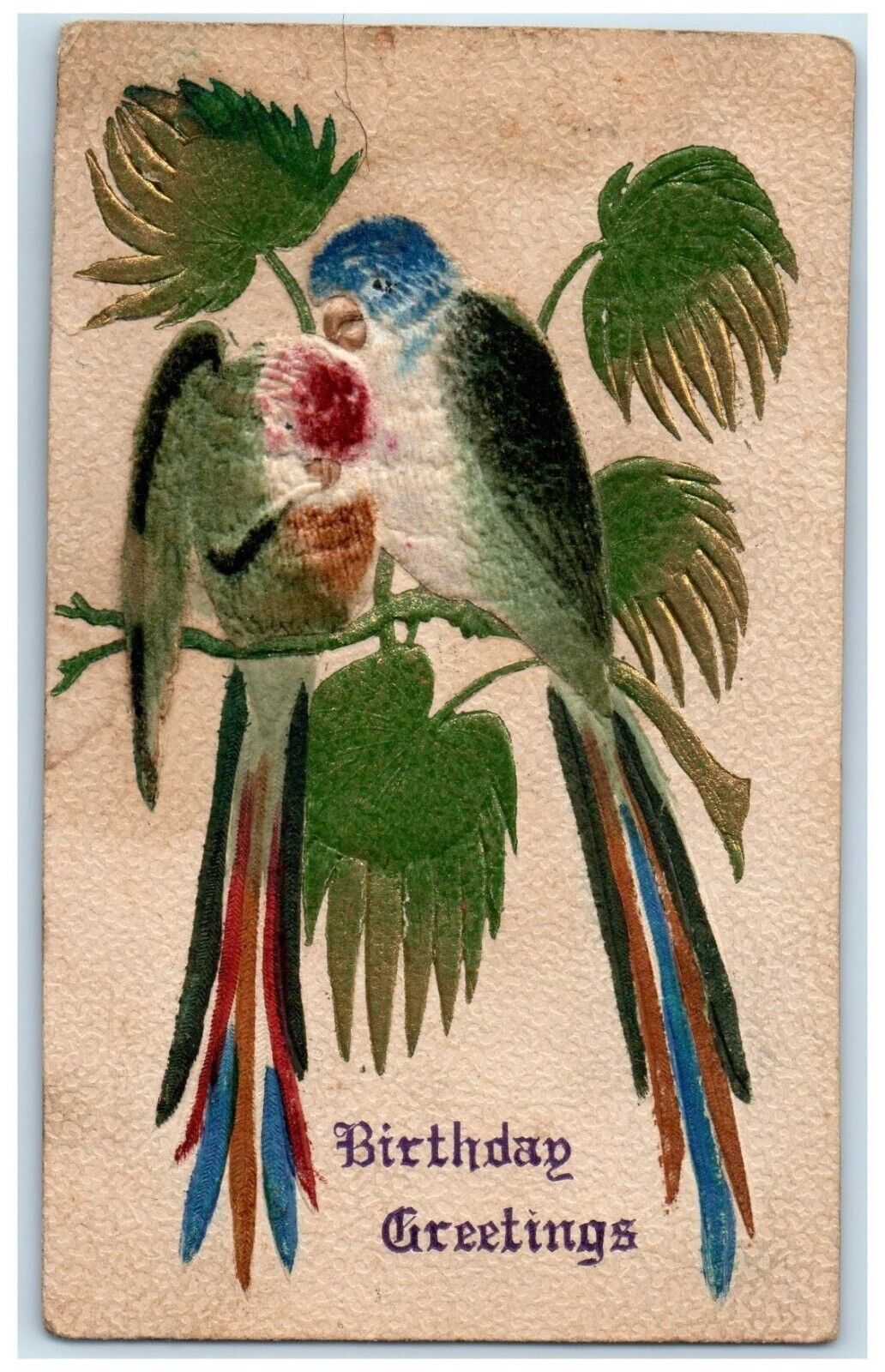 c1910\'s Birthday Greetings Parrot Painted Felt Rushville Illinois IL Postcard