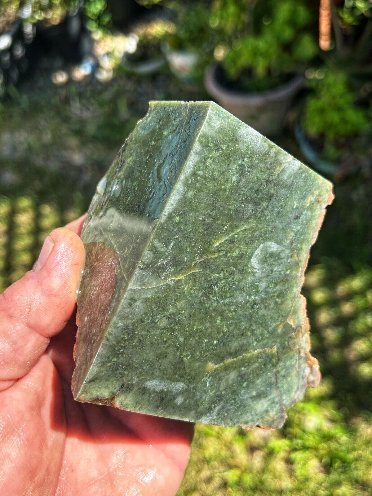 Feather River Canyon CA Nephrite Jade Select Cut Block