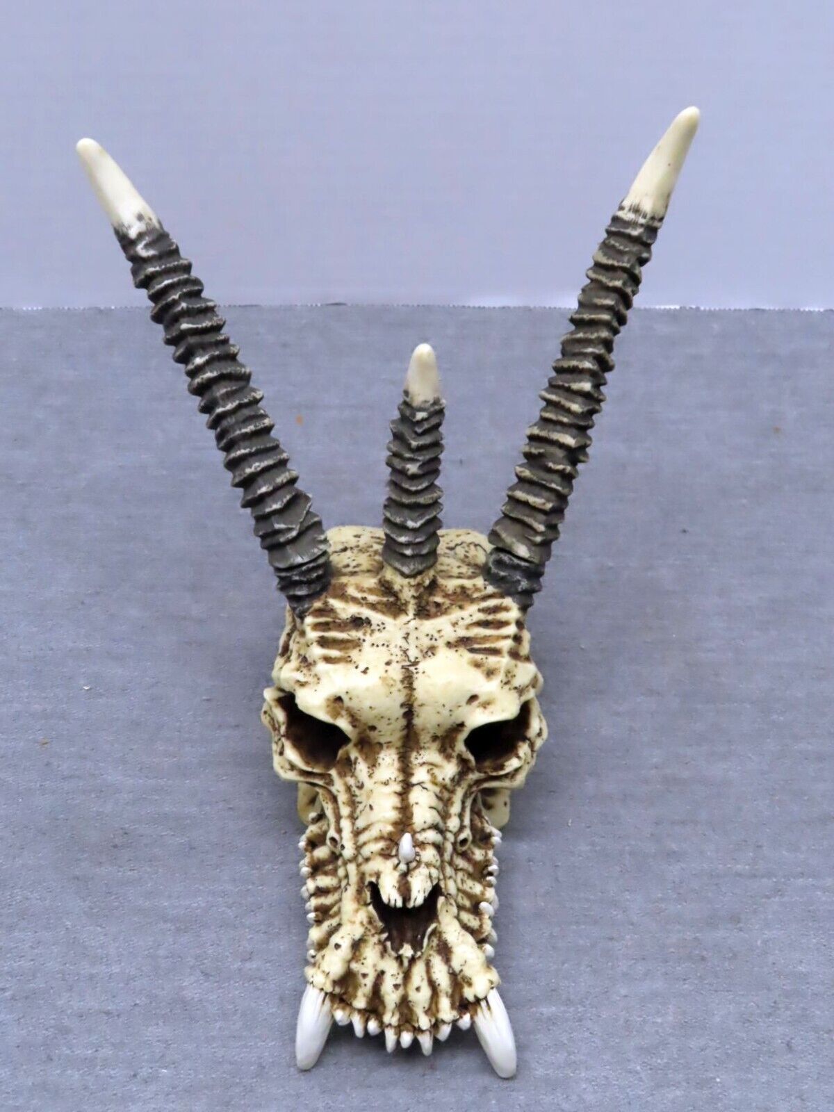 Summit Collection Small Mythical Fantasy Dragon Skull Resin Wall Mount Sculpture