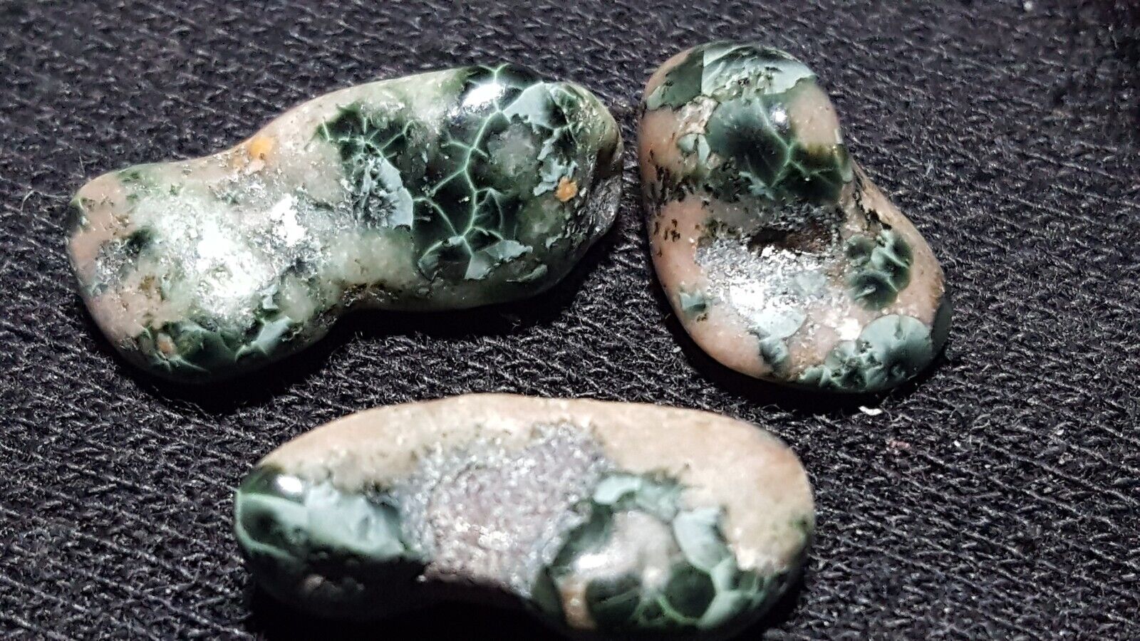 Chlorastrolite Michigan Greenstone mixed with prehnite and thompsonite.