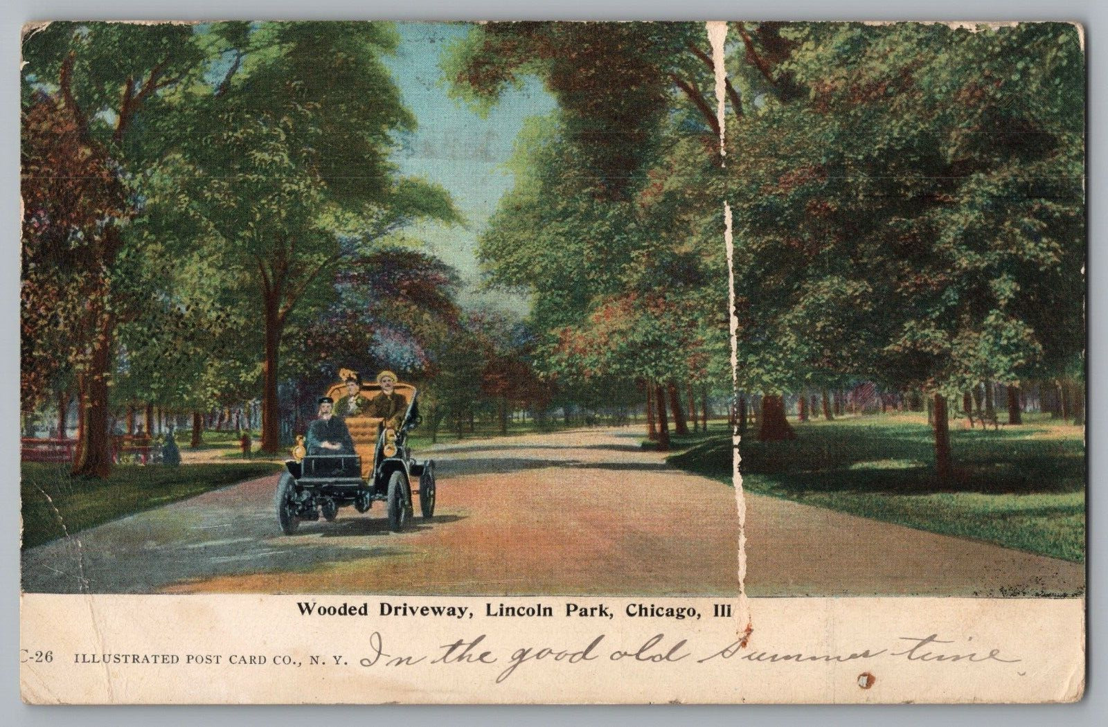 Postcard c1908 Wooded Driveway, Lincoln Park, Chicago Illinois - Antique Car Men