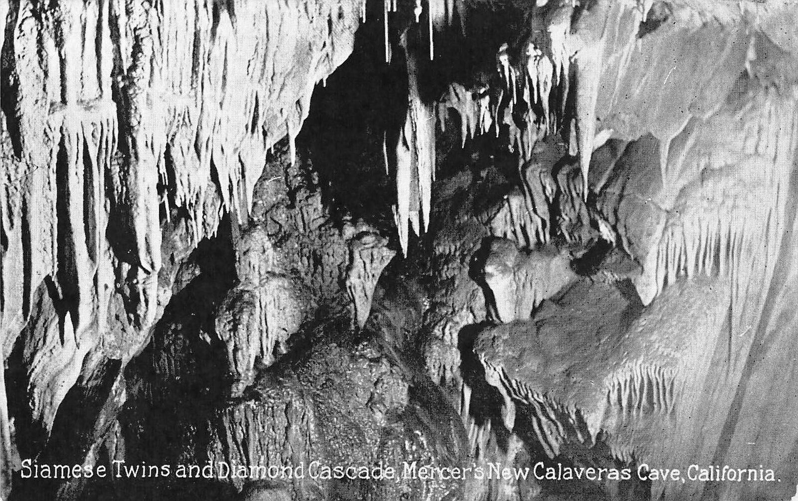 Vintage Postcard Siamese Twins Diamond Mercer\'s New Calaveras Cave California