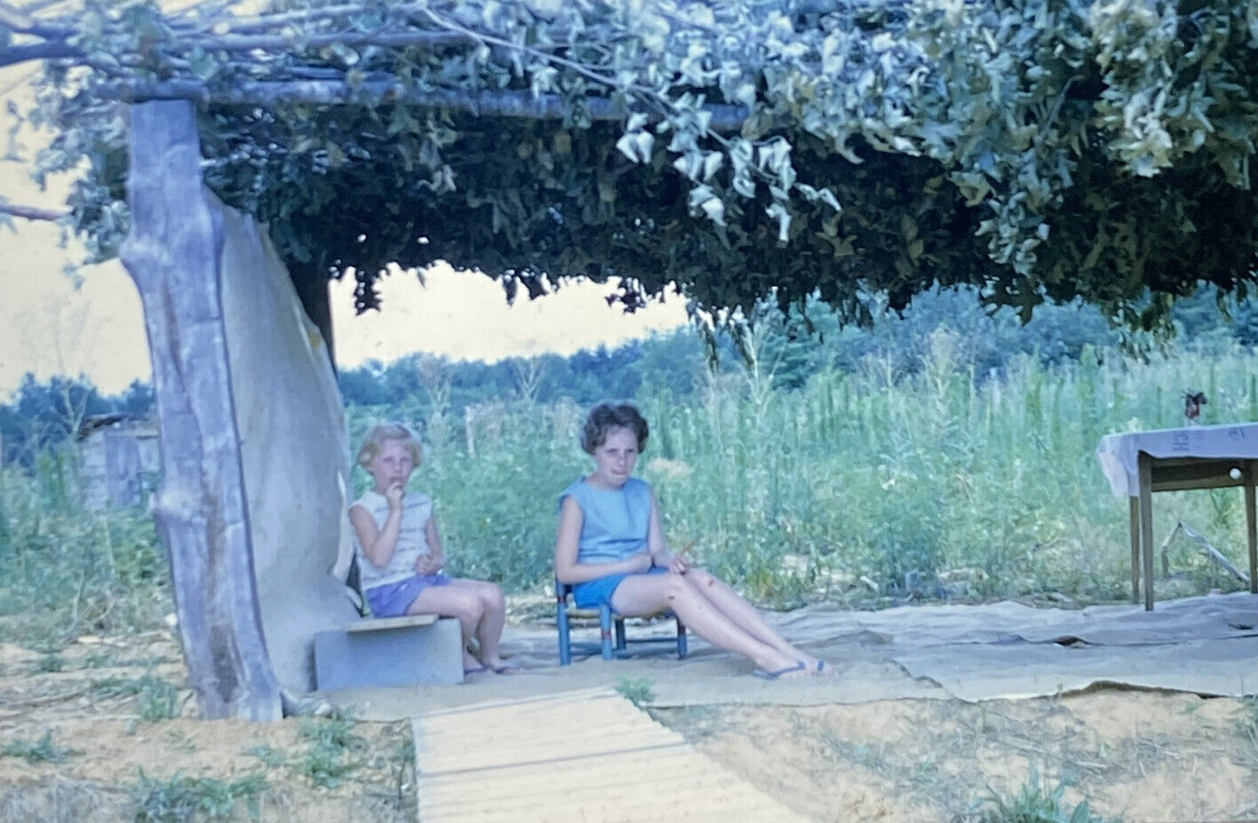 Vintage Photo Slide 1963 Girls Posed Under Tree
