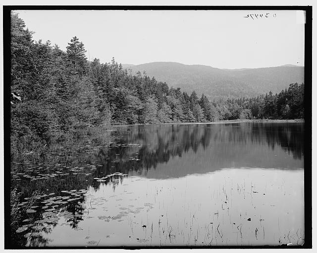 Ammonoosuc Lake White Mtns New Hampshire c1900 Historic Old Photo 2