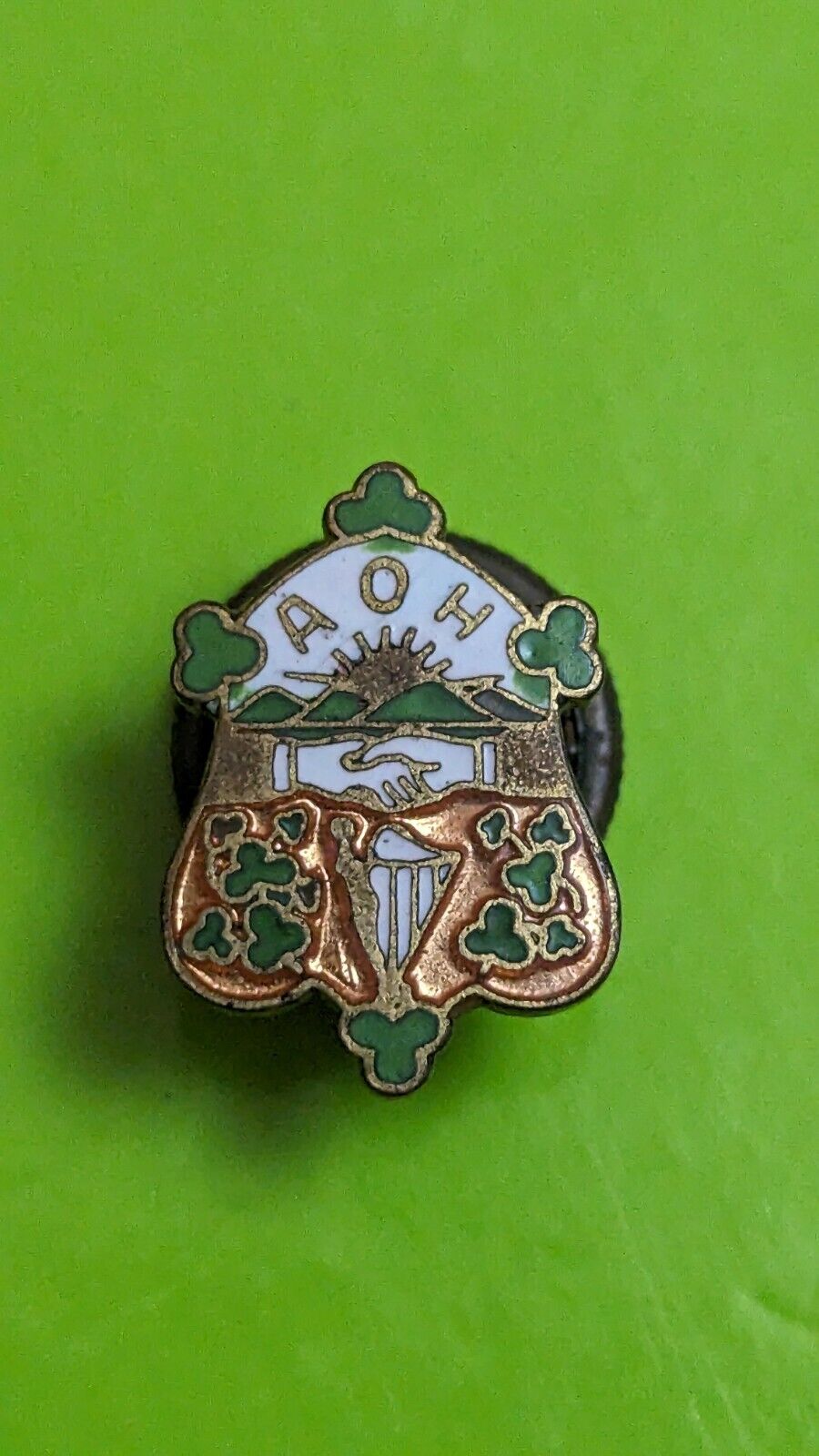 Ancient Order Of Hibernians Vintage Pin AOH