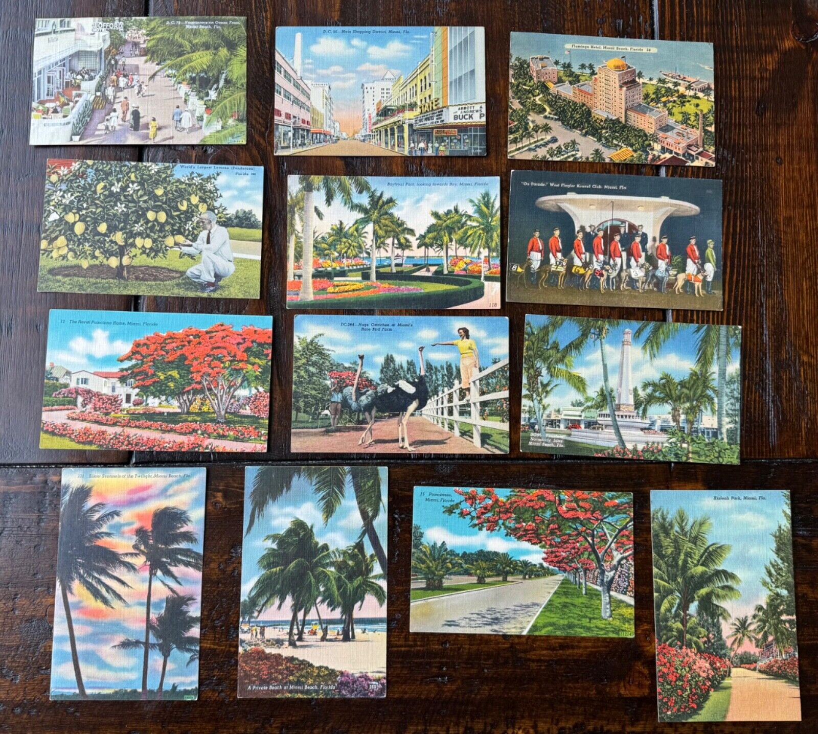 Vintage Lot of 13 Linen Miami Postcards (1930\'s, 40\'s) - Mostly Unposted