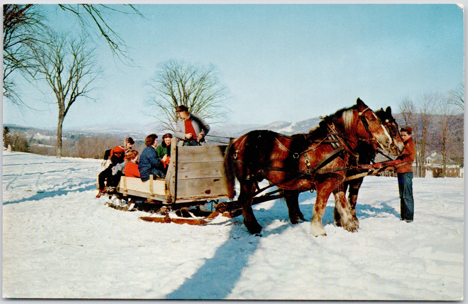 Eastover Lenox Massachusetts Old Fashion Sled Ride Horses USA Vintage Postcard