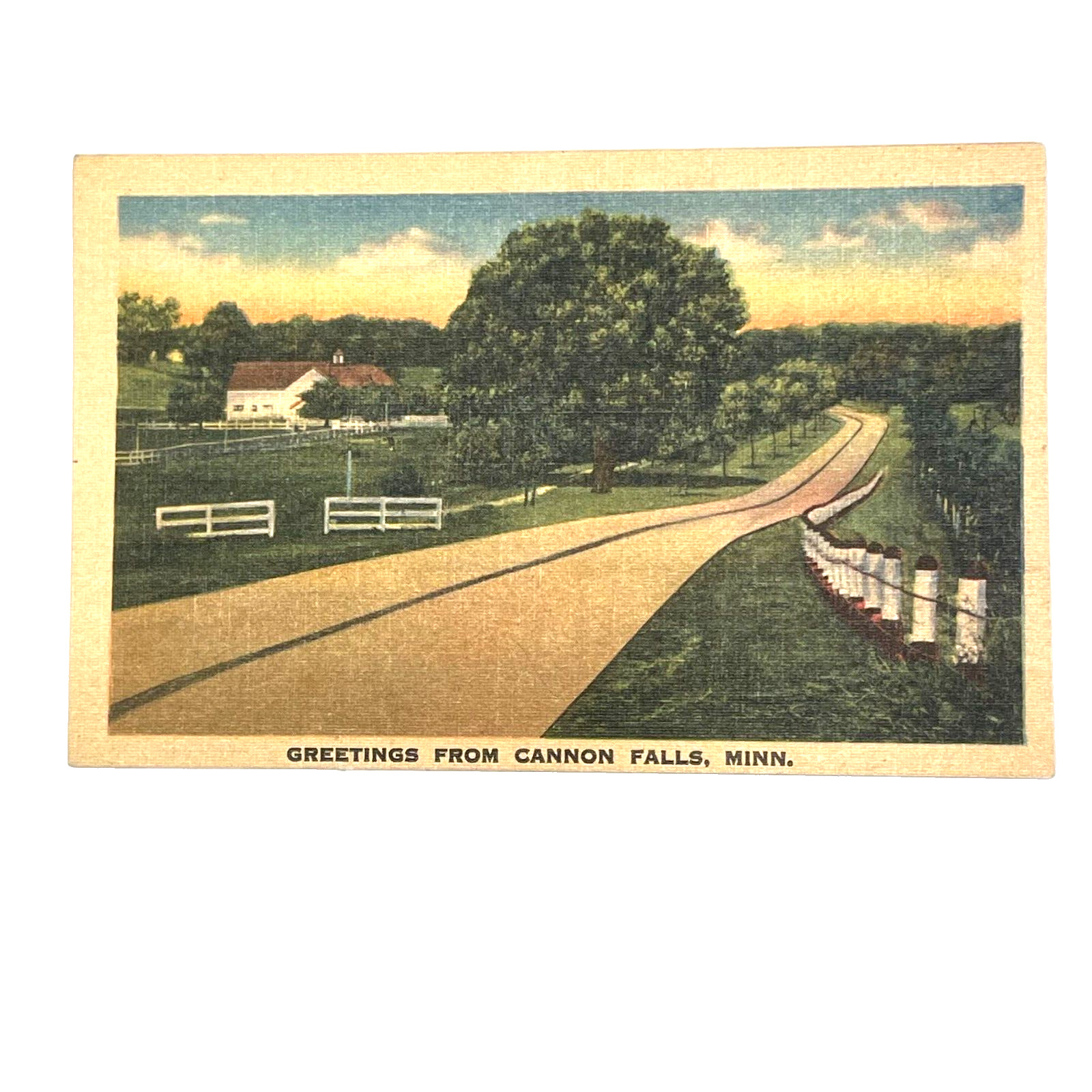 Vintage Linen Greetings From Cannon Falls Minnesota Postcard